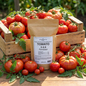 Organic Tomato Fertilizer, Fertilizers